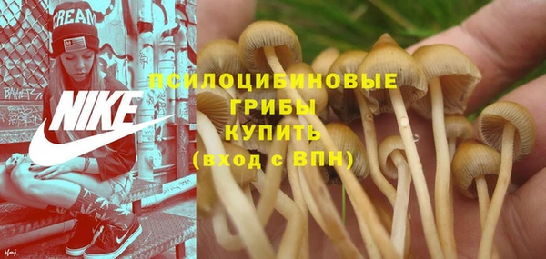 мяу мяу кристалл Армянск