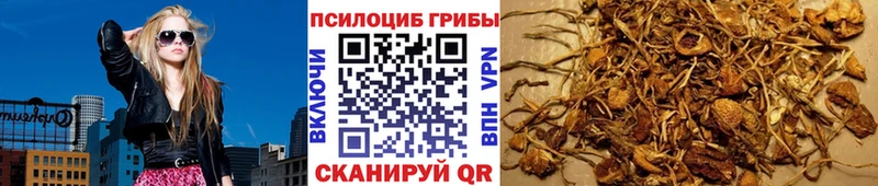 Псилоцибиновые грибы GOLDEN TEACHER  даркнет сайт  Струнино 